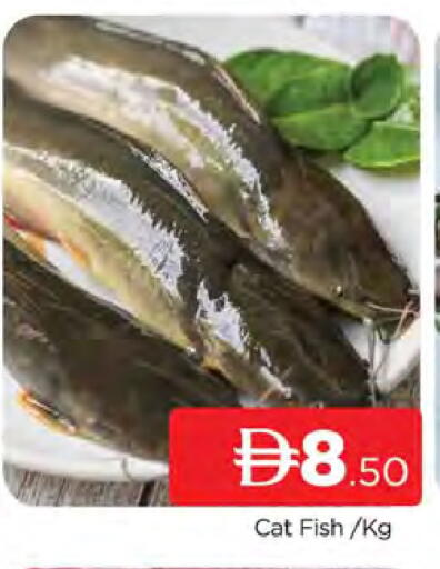 available at AL MADINA (Dubai) in UAE - Dubai