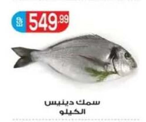 available at أولاد المحاوى in Egypt - القاهرة
