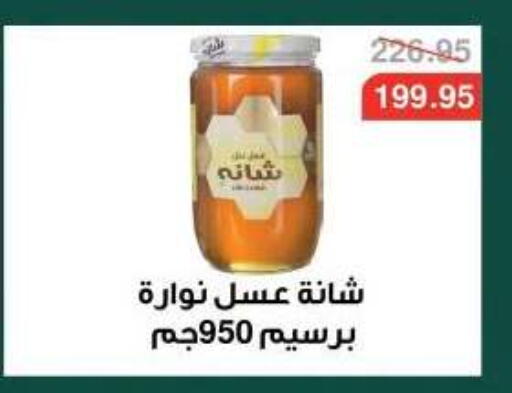 available at Dlina Market in Egypt - Cairo