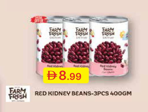 available at جمعية الامارات التعاونية in الإمارات العربية المتحدة , الامارات - دبي