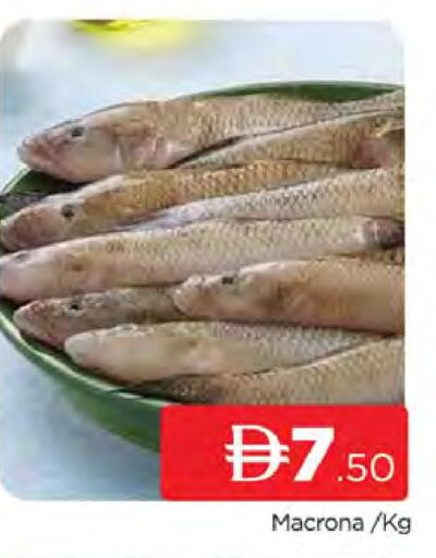 available at AL MADINA (Dubai) in UAE - Dubai