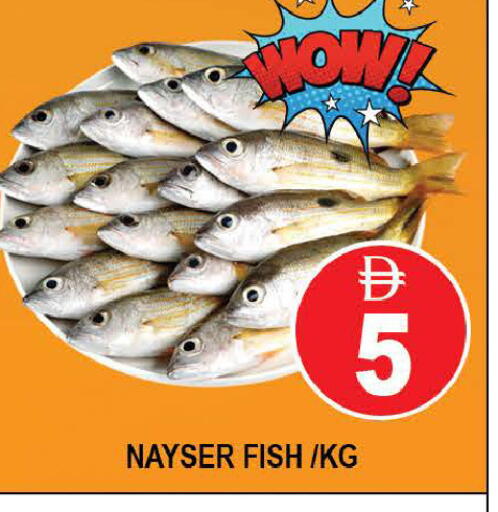 available at AL MADINA (Dubai) in UAE - Dubai
