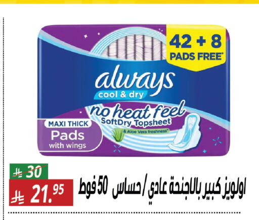 available at سنام سوبرماركت in مملكة العربية السعودية, السعودية, سعودية - الرياض