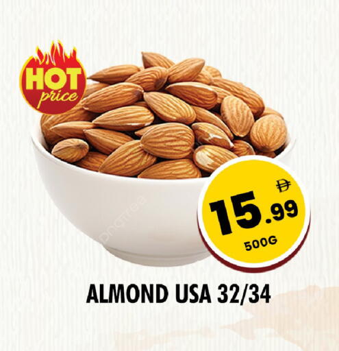 available at نايت تو نايت in الإمارات العربية المتحدة , الامارات - دبي