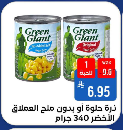 available at شبرا الطائف in مملكة العربية السعودية, السعودية, سعودية - الطائف