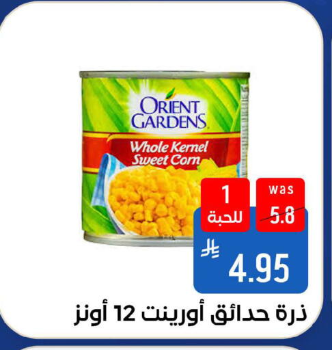 available at شبرا الطائف in مملكة العربية السعودية, السعودية, سعودية - الطائف