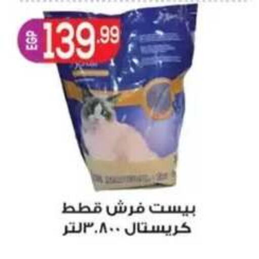 available at أولاد المحاوى in Egypt - القاهرة