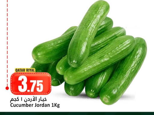 Cucumber from Qatar Jordan available at دانة هايبرماركت in قطر - الوكرة