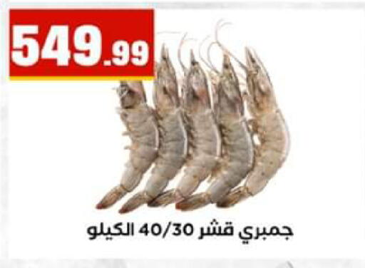 available at El Mahlawy Stores in Egypt - Cairo