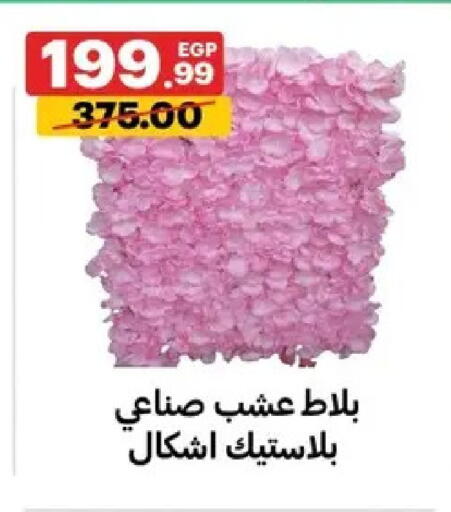 available at الحبيب ماركت in Egypt - القاهرة