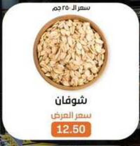available at Beit El Gomla in Egypt - Cairo