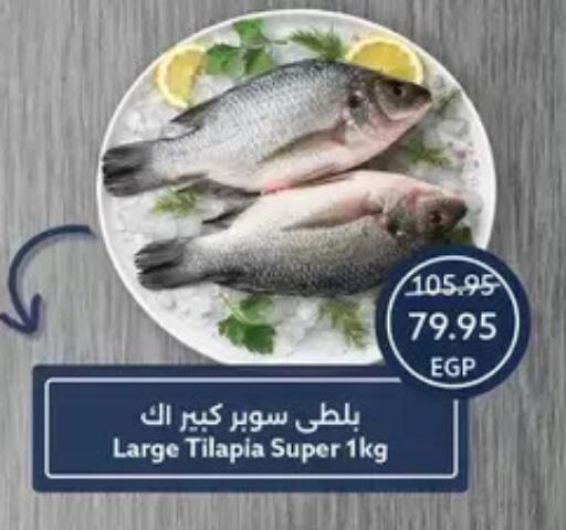 available at  أوسكار جراند ستورز  in Egypt - القاهرة