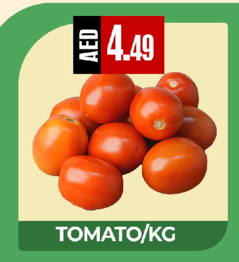 Tomato available at  RIVIERA SUPERMARKET L.L.C in UAE - Abu Dhabi