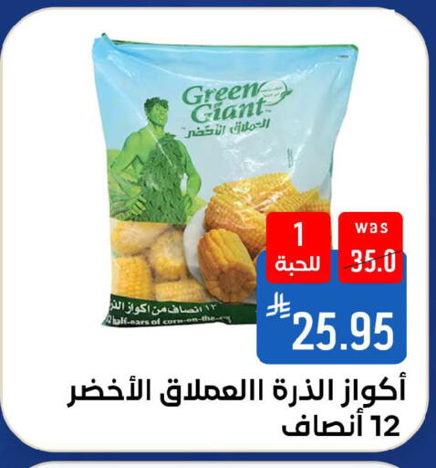 available at شبرا الطائف in مملكة العربية السعودية, السعودية, سعودية - الطائف
