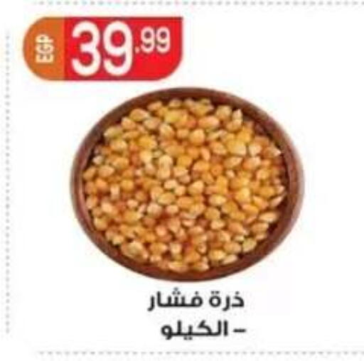 available at أولاد المحاوى in Egypt - القاهرة