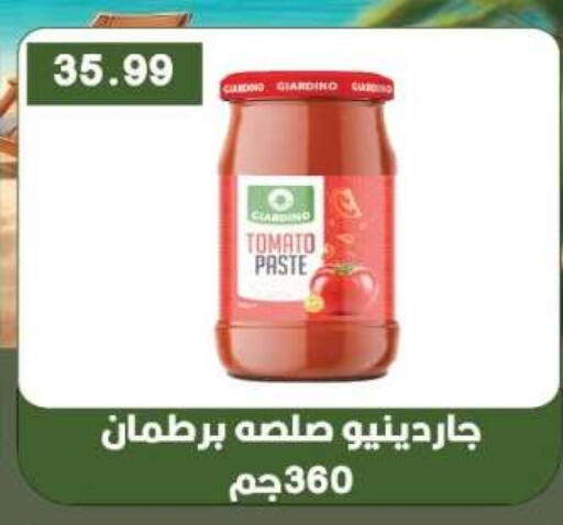 Tomato available at Euromarche in Egypt - Cairo