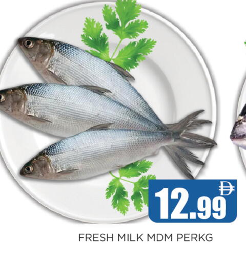 available at Ainas Al madina hypermarket in UAE - Sharjah / Ajman