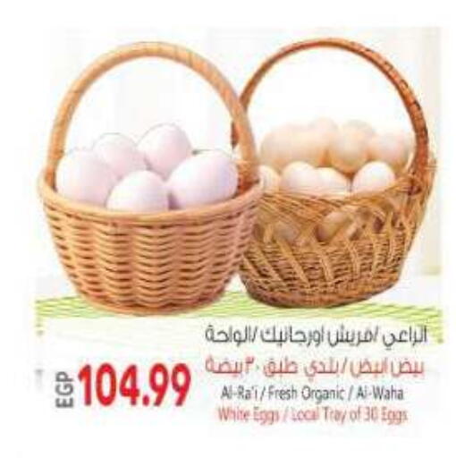 available at New.Penny.market in Egypt - Cairo