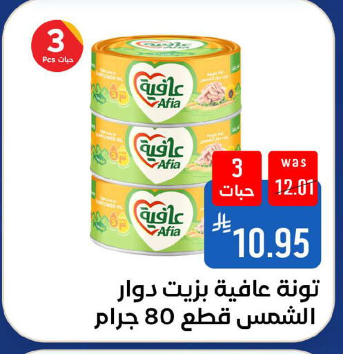 available at شبرا الطائف in مملكة العربية السعودية, السعودية, سعودية - الطائف