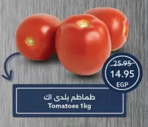 Tomato available at  أوسكار جراند ستورز  in Egypt - القاهرة