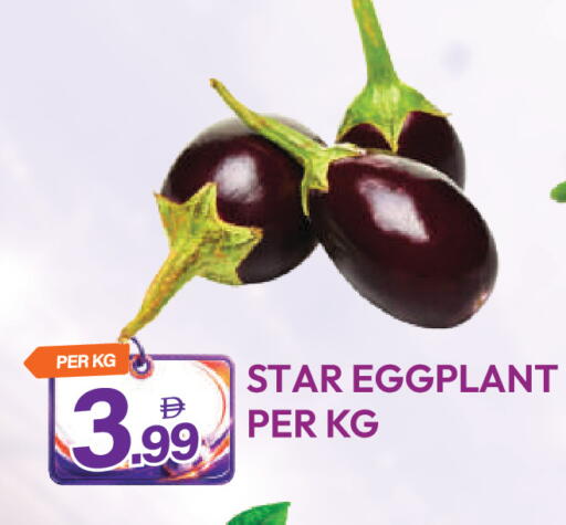 Eggplant available at دريم لاند in الإمارات العربية المتحدة , الامارات - دبي