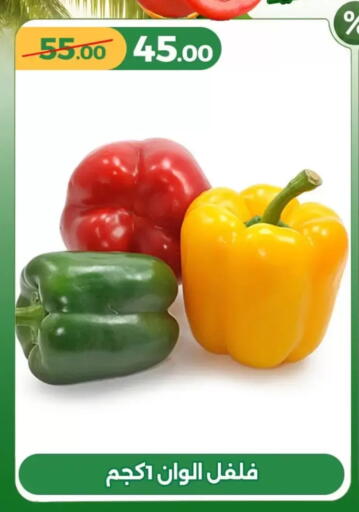 available at Green Tree Hypermarket - Sohag in Egypt - Cairo