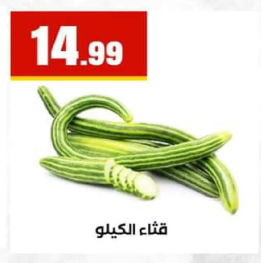 available at El Mahlawy Stores in Egypt - Cairo