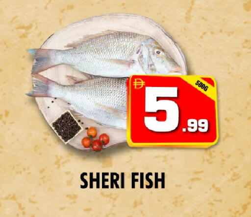 available at نايت تو نايت in الإمارات العربية المتحدة , الامارات - دبي