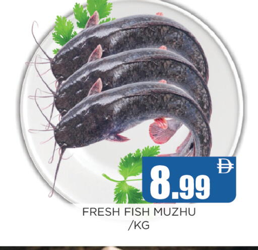 available at Ainas Al madina hypermarket in UAE - Sharjah / Ajman