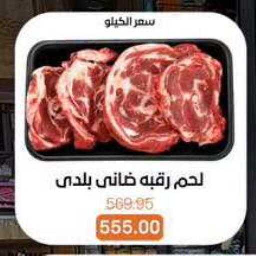 available at Beit El Gomla in Egypt - Cairo