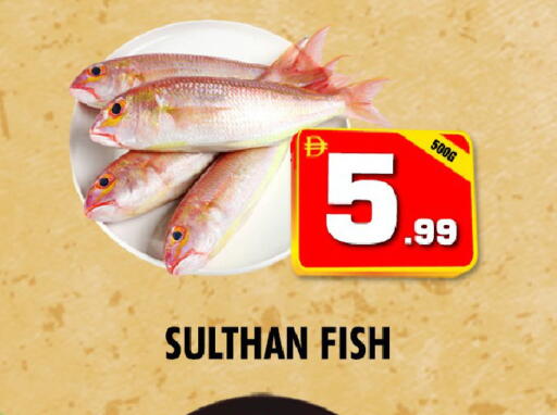 available at نايت تو نايت in الإمارات العربية المتحدة , الامارات - دبي