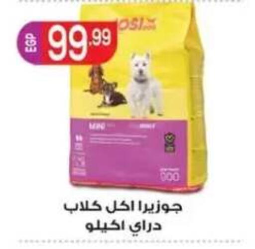 available at أولاد المحاوى in Egypt - القاهرة