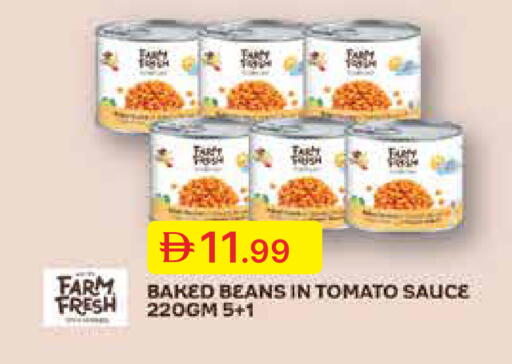 Tomato available at جمعية الامارات التعاونية in الإمارات العربية المتحدة , الامارات - دبي