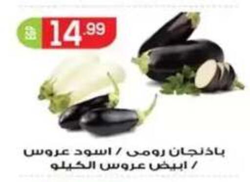 available at أولاد المحاوى in Egypt - القاهرة