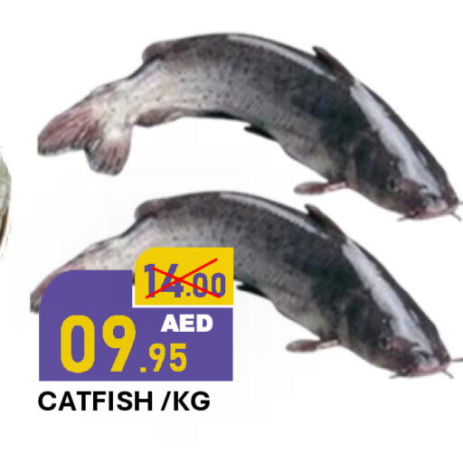 available at رويال جلف هايبرماركت in الإمارات العربية المتحدة , الامارات - أبو ظبي