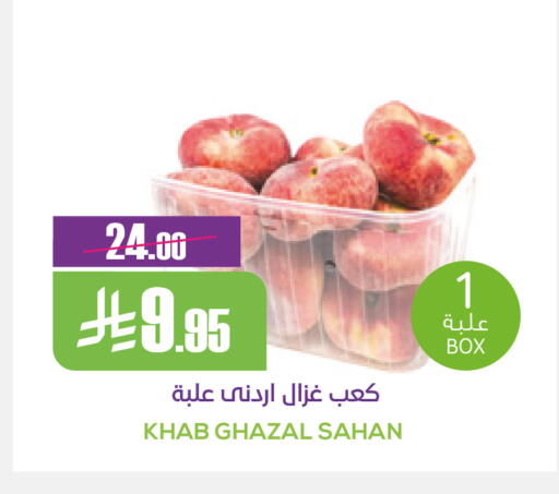 available at Sapt in KSA, Saudi Arabia, Saudi - Buraidah
