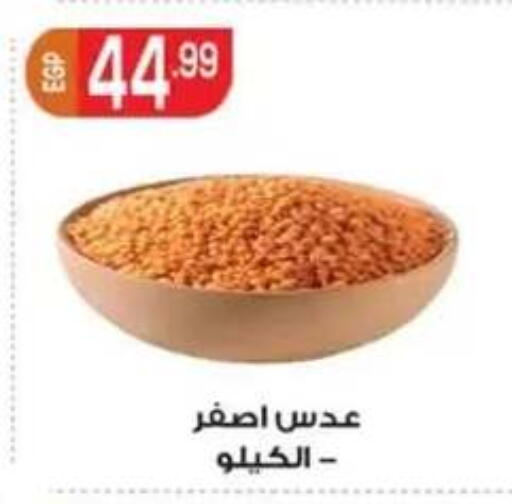 available at أولاد المحاوى in Egypt - القاهرة