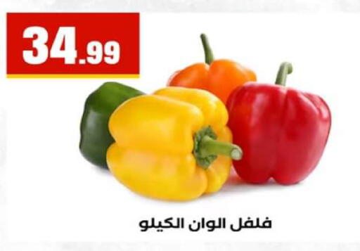 available at El Mahlawy Stores in Egypt - Cairo