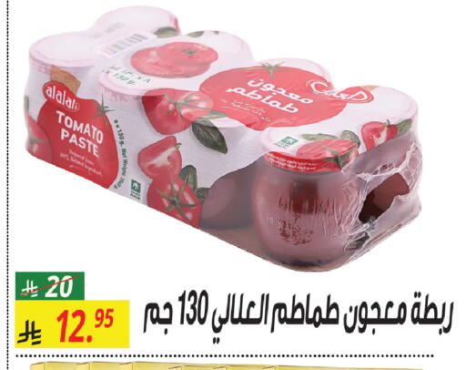 Tomato available at سنام سوبرماركت in مملكة العربية السعودية, السعودية, سعودية - الرياض