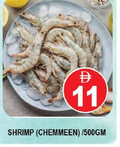 available at AL MADINA (Dubai) in UAE - Dubai