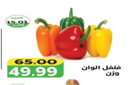 available at The Mart  in Egypt - Cairo