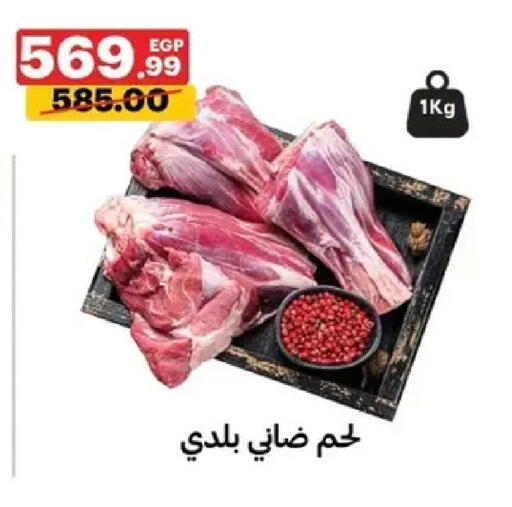 available at Al Habib Market in Egypt - Cairo