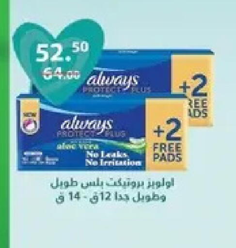 available at Al Habib Market in Egypt - Cairo