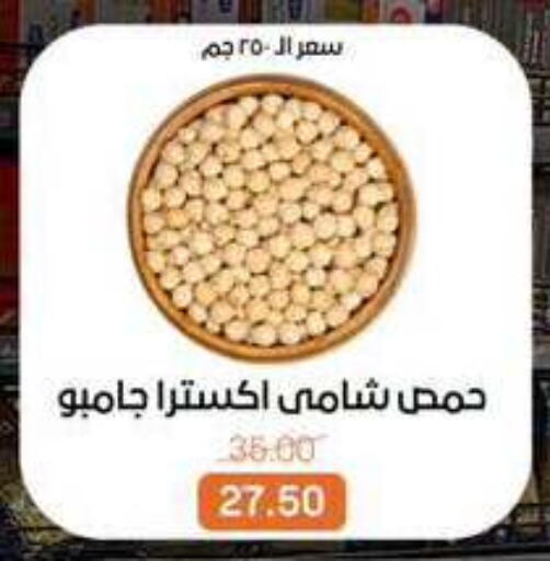available at بيت الجملة in Egypt - القاهرة