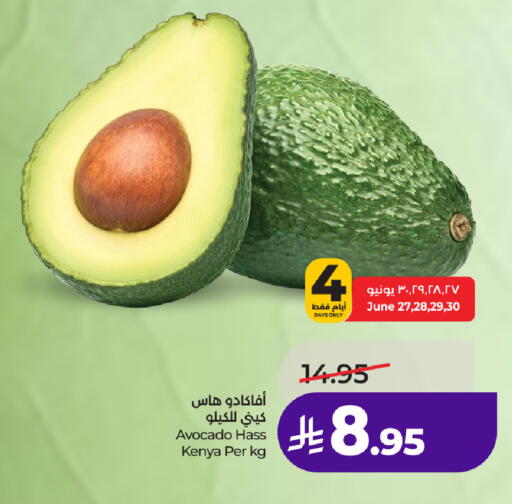 Avocado from Kenya available at لولو هايبرماركت in مملكة العربية السعودية, السعودية, سعودية - الطائف