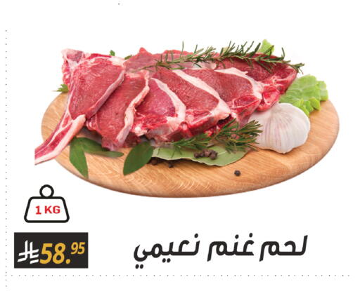 available at سنام سوبرماركت in مملكة العربية السعودية, السعودية, سعودية - الرياض