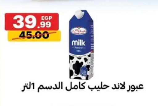 available at Al Habib Market in Egypt - Cairo