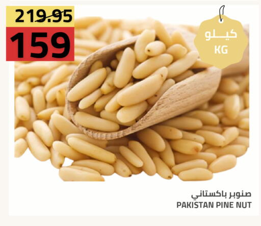 available at أسواق أسترا in مملكة العربية السعودية, السعودية, سعودية - تبوك