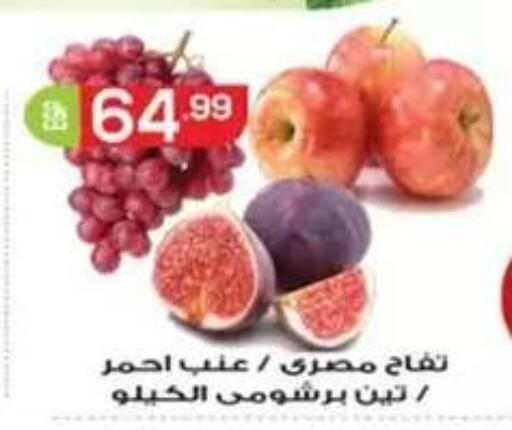available at أولاد المحاوى in Egypt - القاهرة