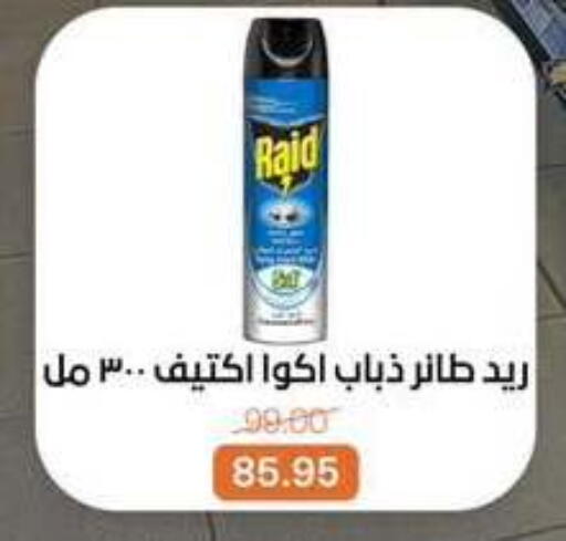 available at بيت الجملة in Egypt - القاهرة